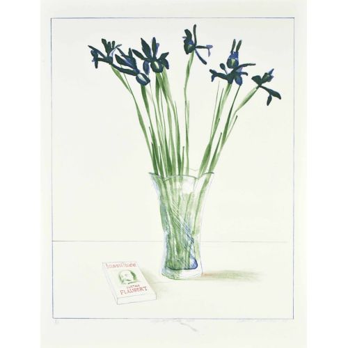 David Hockney, Kitapla Natürmort David Hockney, Kitapla Natürmort
