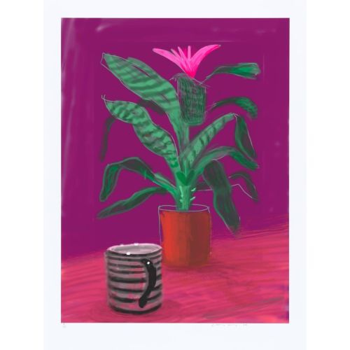 David Hockney, Çizgili Kupa 2010
