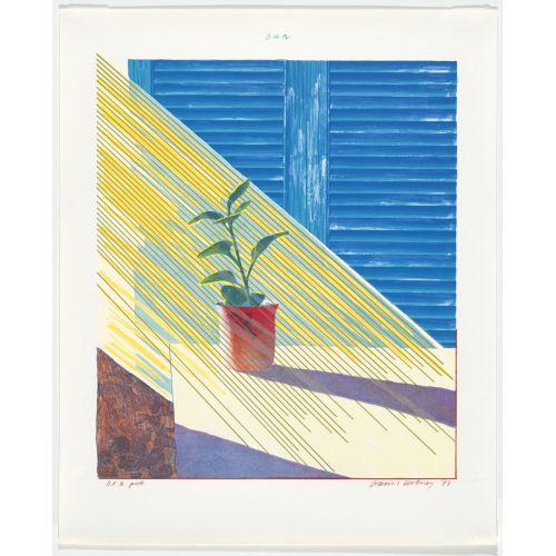 David Hockney, Güneş
