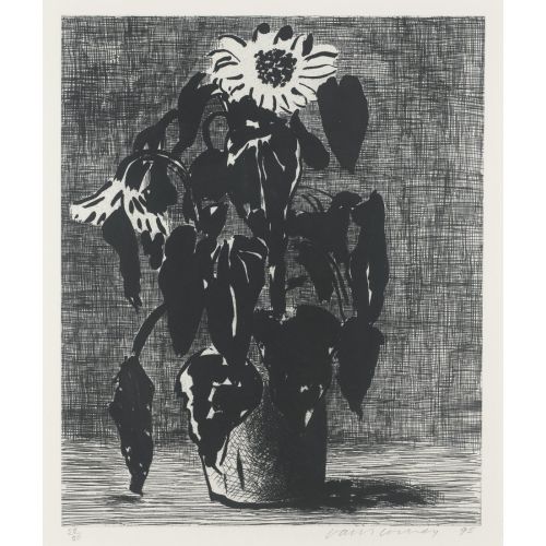 David Hockney, Ayçiçeği I