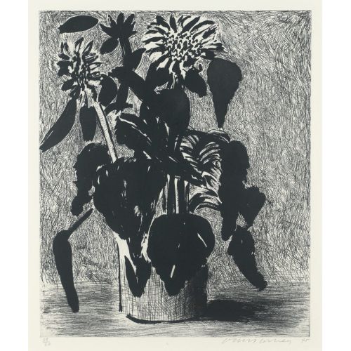 David Hockney, Ayçiçeği II