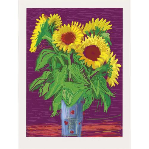 David Hockney, Ayçiçekleri