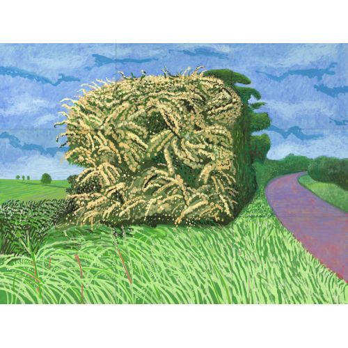 David Hockney, Büyük Hawthorne