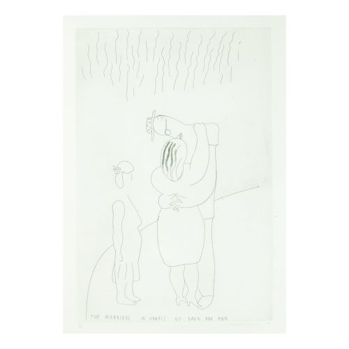 David Hockney, David Ve Ann'in HawaII'deki Evliliği David Hockney, David Ve Ann'in HawaII'deki Evliliği