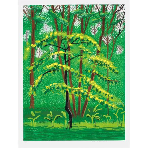 David Hockney, Ağaçlar David Hockney, Ağaçlar