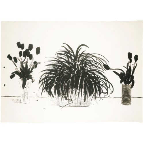 David Hockney, İki Kesilmiş Çiçek Vazosu