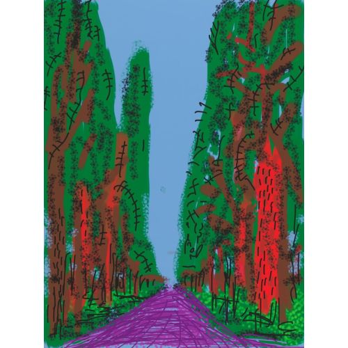 David Hockney, İsimsiz