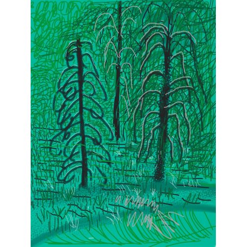 David Hockney, Untitled No 16 From The Yosemite Suite, 2010