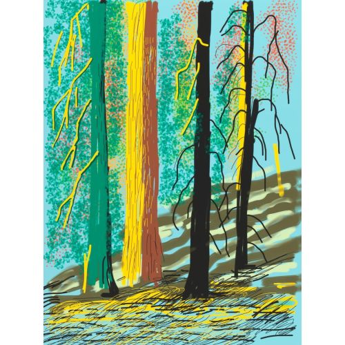 David Hockney, Yosemite Süitinden İsimsiz No 7, 2010 Pop Art Sanat Akımları David Hockney, Yosemite Suitinden Untitled No 7