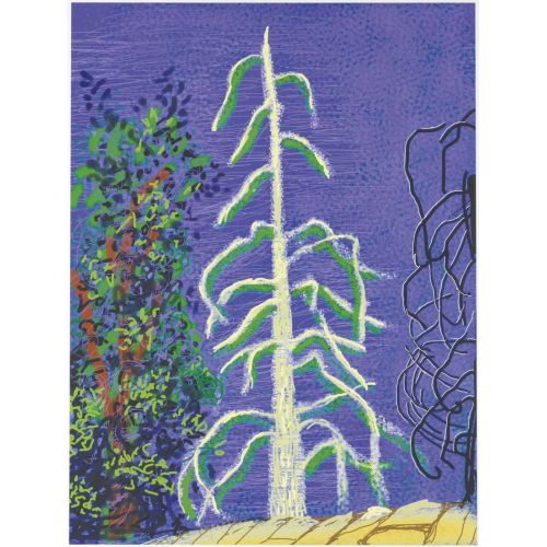 David Hockney, Untitled No 14 From The Yosemite Suite, 2010