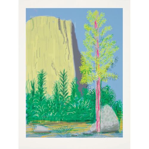 David Hockney, Untitled No 22 From The Yosemite Suite, 2010