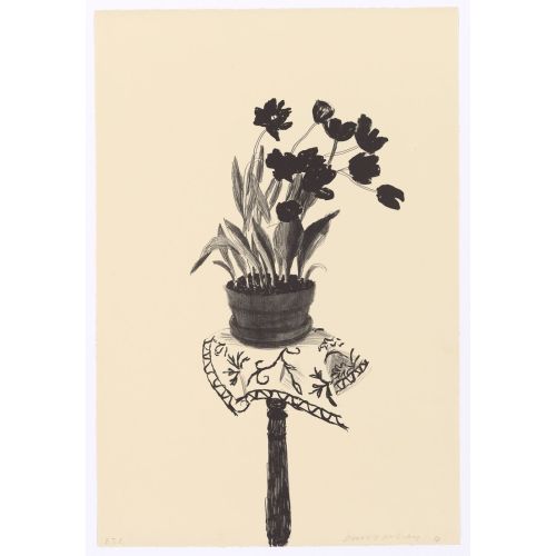 David Hockney, Black Tulips 1980 David Hockney, Black Tulips 1980