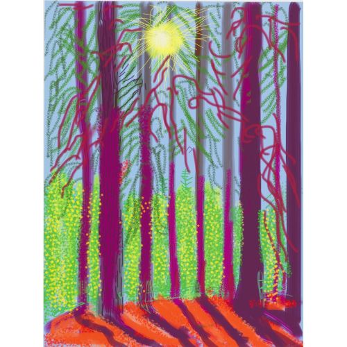 David Hockney, Yosemite David Hockney, Yosemite