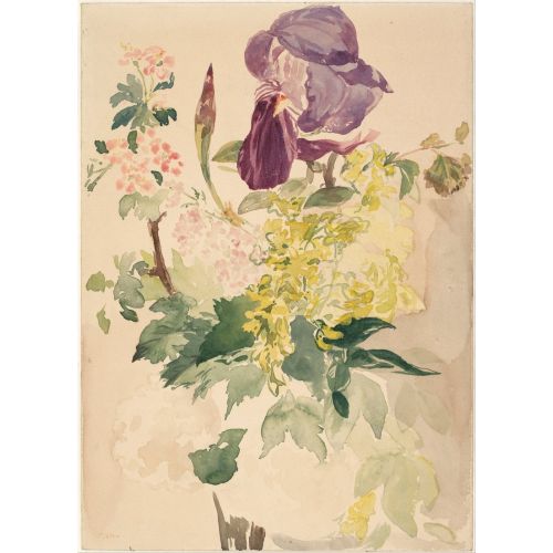 Edouard Manet, Çiçek Resmi İle Iris Laburnum Ve Turnagagası