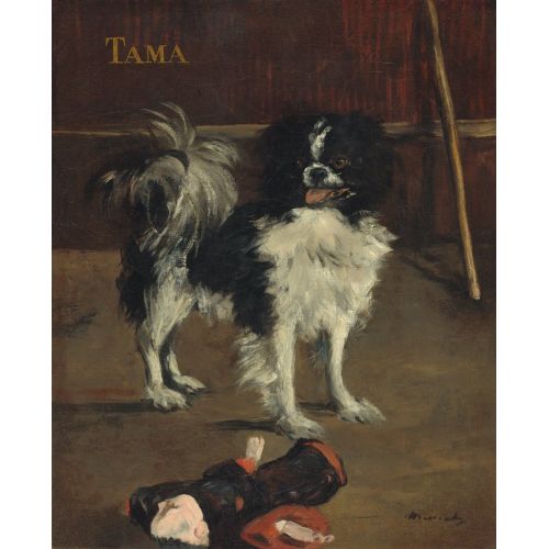 Edouard Manet, Tama