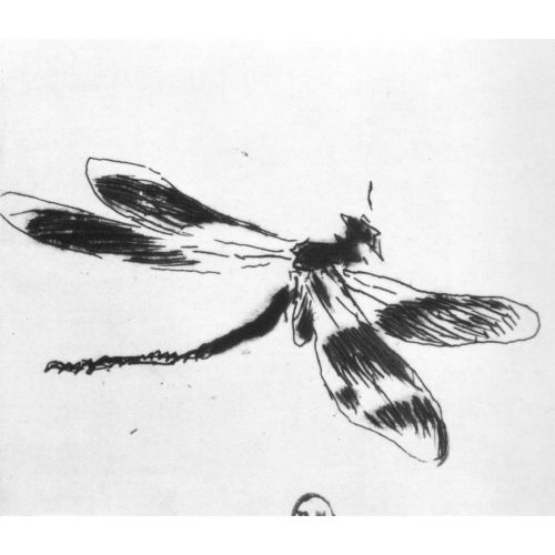 Edouard Manet, Dragonfly