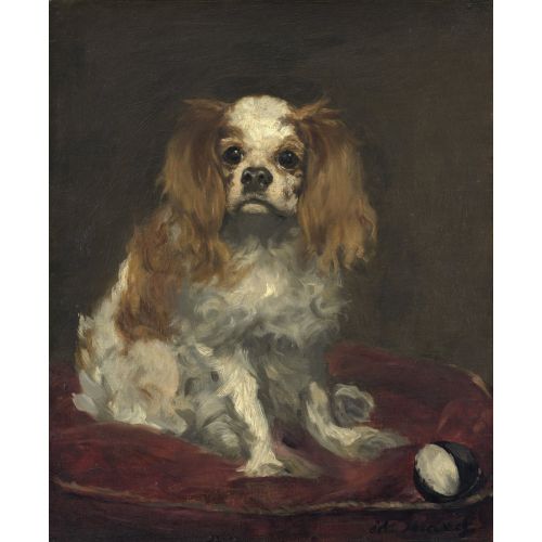 Edouard Manet, A King Charles Spaniel