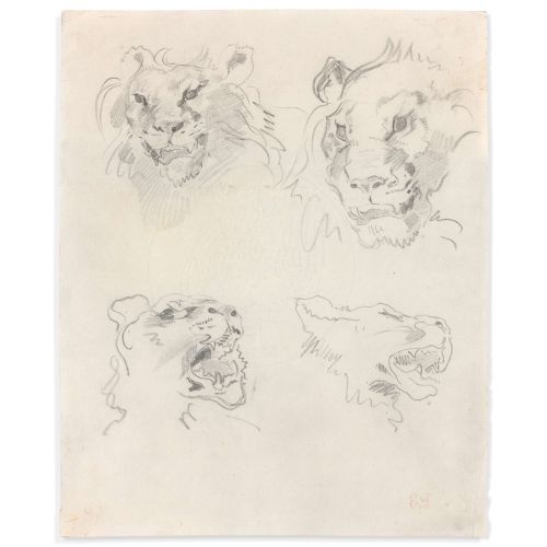 Eugene Delacroix, İki Aslan Ve İki Dişi Aslan Başları