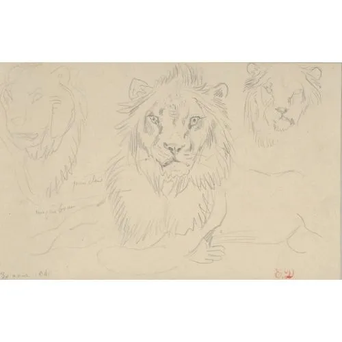 Eugène Delacroix, A Lion Full Face Romance Art Movements Eugène Delacroix, A Lion Full Face, Romance, can be purchased or