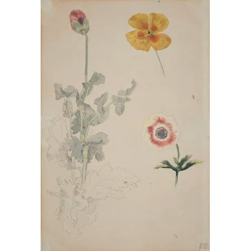 Eugène Delacroix, Çiçekler Çalışması Romantizm Eugène Delacroix, Çiçekler Çalışması Romantizm Sanat Akımları Eugène Delacroix, Çiçekler Çalışması, Romantizm