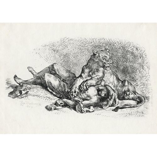 Eugene Delacroix, Lioness Tearing The Chest Of An Arab