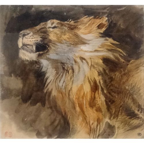 Eugene Delacroix, Roaring Lion's Head