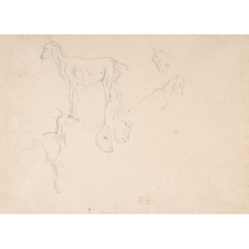 Eugene Delacroix, Studies Of A Goat Eugene Delacroix, Studies Of A Goat