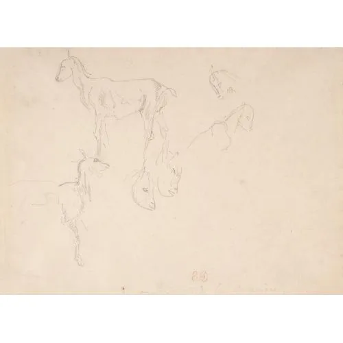 Eugène Delacroix, Studies of a Goat Romance Art Movements Eugène Delacroix, Studies of a Goat, Romance, can be purchased or