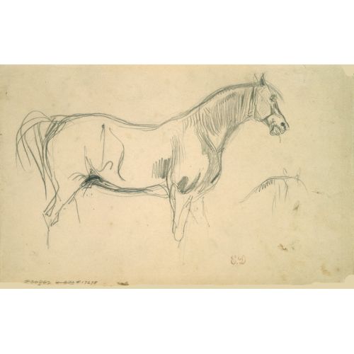 Eugene Delacroix, Studies Of A Horse In Profile Eugene Delacroix, Studies Of A Horse In Profile