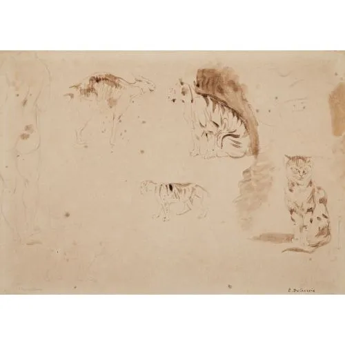 Eugène Delacroix, Diğer kedigiller ve arkadan görülen iki kadın çıplak figür çalışmaları Romantizm Sanat Akımları