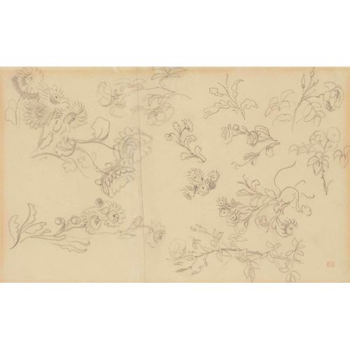 Eugene Delacroix, Studies Of Roses And Other Flowers Eugene Delacroix, Studies Of Roses And Other Flowers