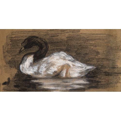 Eugene Delacroix, Study For A Swan Eugene Delacroix, Study For A Swan