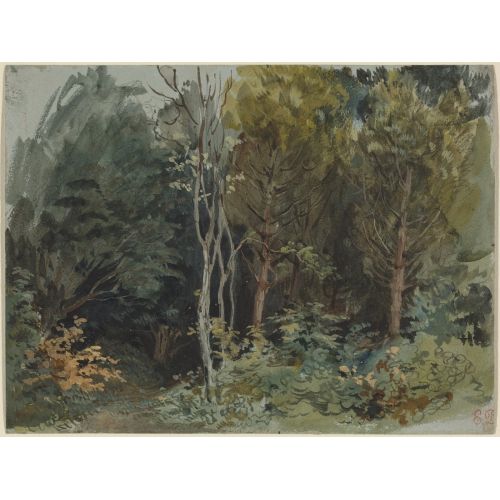 Eugene Delacroix, The Edge Of A Wood At Nohant Eugene Delacroix, The Edge Of A Wood At Nohant