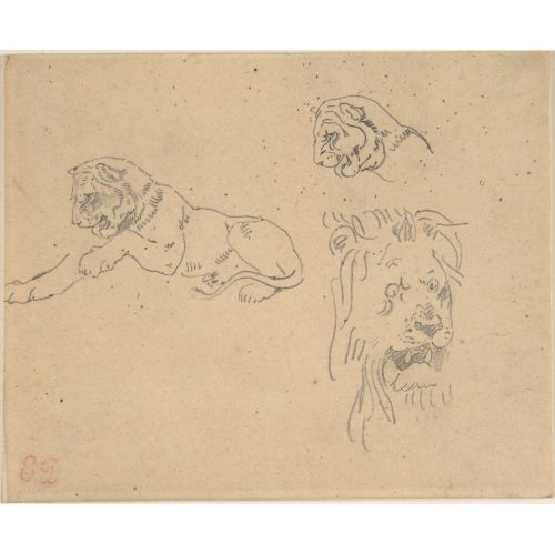 Eugène Delacroix, Three Studies of a Lion Romance Art Movements Eugène Delacroix, Three Studies of a Lion, Romance, can be