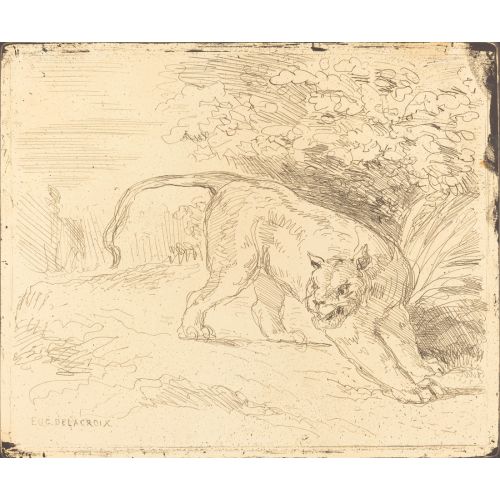 Eugene Delacroix, Tigre En Arret Eugene Delacroix, Tigre En Arret