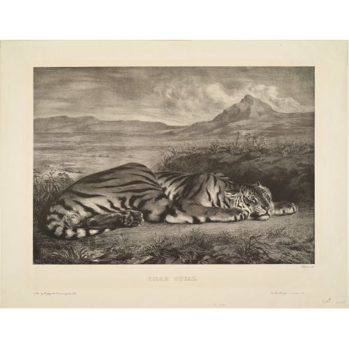 Eugene Delacroix, Tigre Royal Eugene Delacroix, Tigre Royal