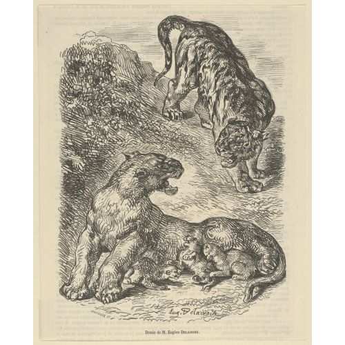 Eugene Delacroix, Tigress Attacked By A Tiger While Nursing Her Young Eugene Delacroix, Tigress Attacked By A Tiger While Nursing Her Young