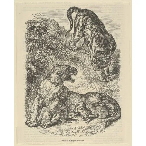 Eugene Delacroix, Tigress Attacked By A Tiger While Nursing Her Young Romance Eugène Delacroix, Tigress Attacked by a Tiger While Nursing her Young Romance Art Movements Eugène Delacroix, Tigress Attacked