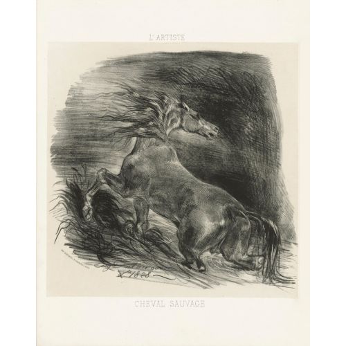 Eugene Delacroix, Wild Horse Eugene Delacroix, Wild Horse