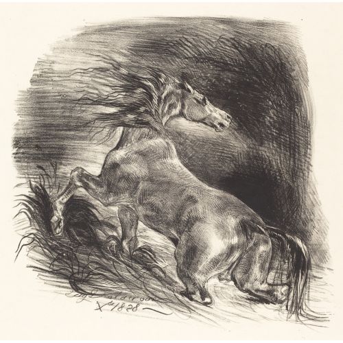 Eugene Delacroix, Yabani At