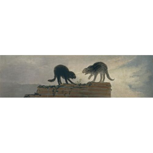 Francisco Goya, Cat Fight