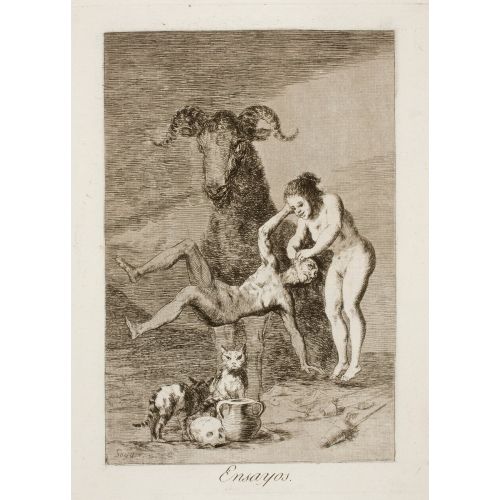 Francisco Goya, Ensayos Francisco Goya, Ensayos