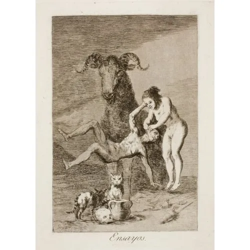 Francisco Goya, Denemeler Romantizm Francisco Goya, Denemeler Romantizm Sanat Akımları Kanvas Efektli Tablo, Resim Kağıdı Baskısı, Reprodüksiyon ve Yüksek