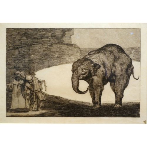 Francisco Goya, Hayvan Aptallığı Francisco Goya, Hayvan Aptallığı