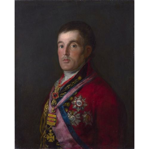 Francisco Goya, Wellington Dükü Portresi Francisco Goya, Wellington Dükü Portresi