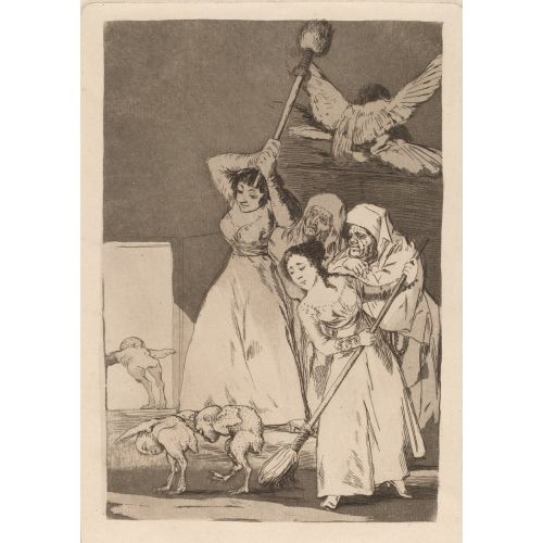 Francisco Goya, There They Go Plucked Francisco Goya, There They Go Plucked