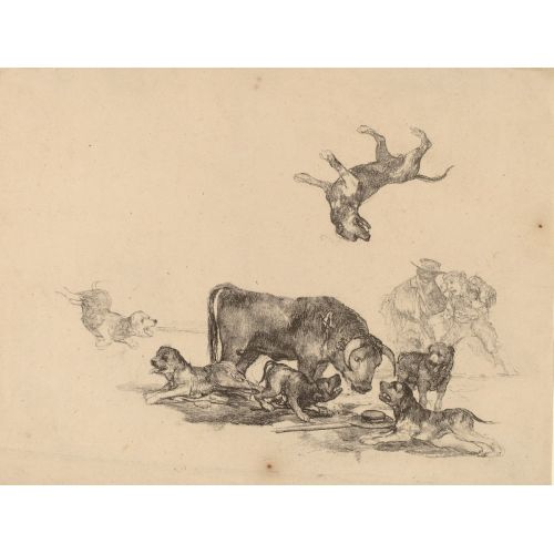 Francisco Goya, Köpekler Tarafından Saldırıya Boğa Francisco Goya, Köpekler Tarafından Saldırıya Boğa