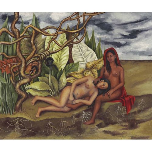 Frida Kahlo Two Nudes In The Forest Nude Art Movements Canvas, Drawing Paper Prints, Reproduction Oil Painting and High