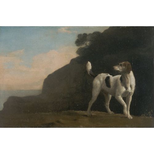George Stubbs, Tilki Tazısı II