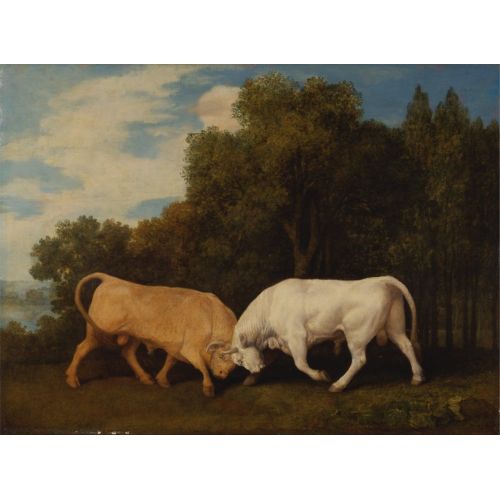 George Stubbs, Boğaların Dövüşü George Stubbs, Boğaların Dövüşü